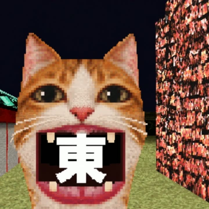 Kanji Cat waiting